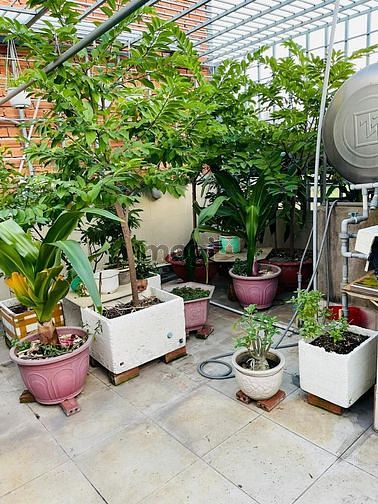 Hình ảnh NGỘP Mặt tiền Gò Ô Môi Phú Thuận Quận 7. 150m2