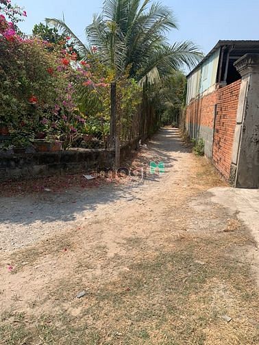 Hình ảnh Bán đất tặng nhà, cạnh KDC Cát Tường Phú sinh !