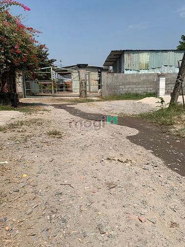 Hình ảnh Bán đất tặng nhà, cạnh KDC Cát Tường Phú sinh !