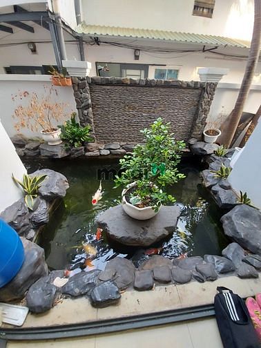 Hình ảnh Cần bán biệt thự Bình Lợi, P13, Bình Thạnh, 293m2