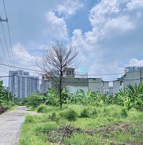 Hình ảnh Bán đất  Long Thạnh Mỹ kế bên Vinhome grandpark 98m2 chỉ 4 tỷ 500tr TL