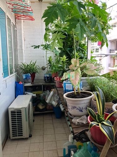 Hình ảnh Cho thuê Trang Chủ MB66.COM / Đăng Ký Tặng 66K Bàu Cát II, 2pn giá 7tr