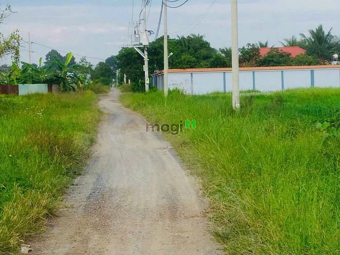 Hình ảnh Bán 1070m2 đất vườn rân thạnh đông. Đường ô tô. Giá 2,650 tỷ