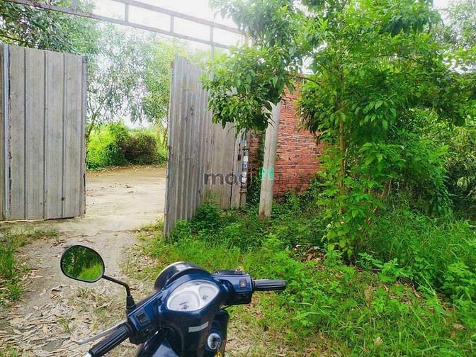 Hình ảnh Bán 1070m2 đất vườn rân thạnh đông. Đường ô tô. Giá 2,650 tỷ