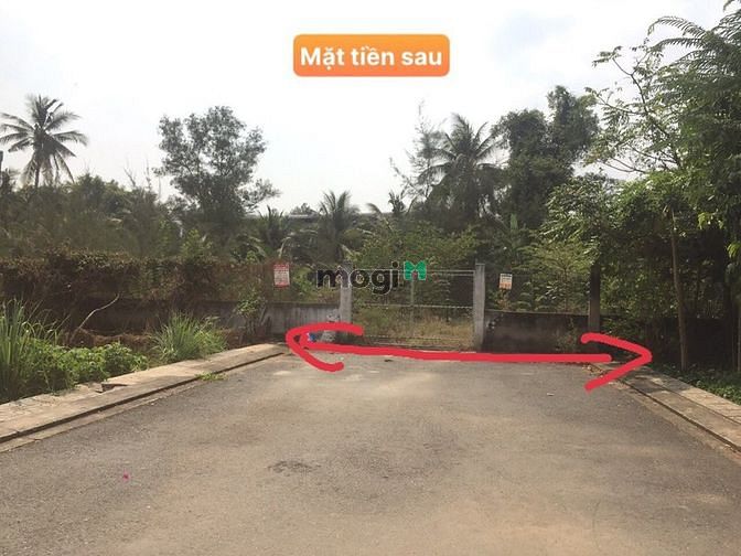 Hình ảnh 1275m2 15m x 100m Bán Đất khu Tam Đa Trường Thạnh Thủ Đức
