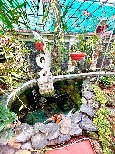 Hình ảnh Cho thuê Trang Chủ MB66.COM / Đăng Ký Tặng 66K Văn Cao Hải Phòng
