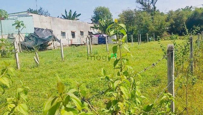Hình ảnh Bán 415m2 (12x35) đất thổ cư. Đường nhựa. Giá 2,6 tỷ
