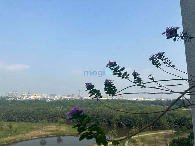 Hình ảnh Cơ hội sở hữu Trang Chủ MB66.COM / Đăng Ký Tặng 66K 𝐒𝐀𝐑𝐈𝐂𝐀 tại Trung tâm TP- Giá chỉ 40 Tỷ