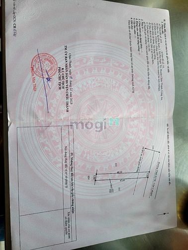 Hình ảnh Chính chủ bán đất thổ rẻ Châu Thành, Long An