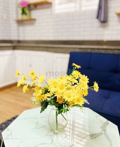 Hình ảnh 2pn Bình Lợi siêu rộng🎀phong cách hiện đại 😎cửa sổ từng pn