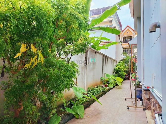 Hình ảnh Bán biệt thự Đường số 9, Bình An, Quận 2 - 485m2