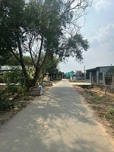 Hình ảnh bán gấp 85m2 5x17 tân phú trung củ chi. đường 12m dân cư đông