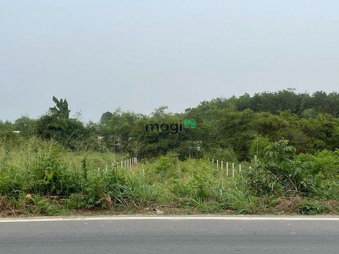 Hình ảnh Bán 510m2 đất MT tỉnh lộ 7. Giá 4,9 tỷ