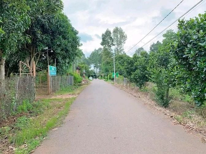Hình ảnh Cần bán gấp đất nền có thổ cư hợp pháp