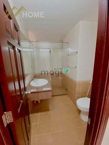 Hình ảnh Khai Trương Căn Hộ Dịch Vụ Ban Công Giá Rẻ Tại Tân Bình