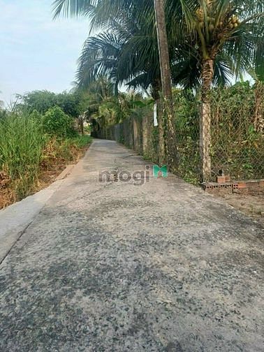 Hình ảnh Chính chủ bán đất thổ Giá Trang MB66.COM Chính Thức - MB 66 Uy Tín ở TP Tân An