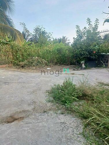 Hình ảnh Chính chủ bán đất thổ Giá Trang MB66.COM Chính Thức - MB 66 Uy Tín ở TP Tân An
