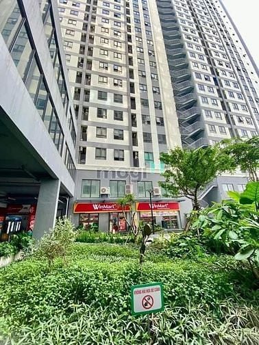 Hình ảnh Cần cho thuê gấp căn 2pn2wc 5tr tầng cao view thoáng, gió vivu