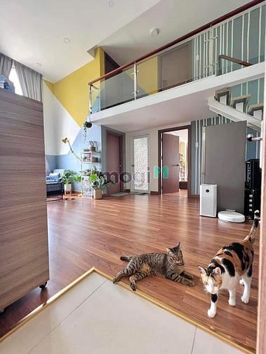 Hình ảnh ✅CẦN BÁN NHANH Trang Chủ MB66.COM / Đăng Ký Tặng 66K Duplex La Astoria3 (quận 2) Tp. Thủ Đức 67m2 2PN