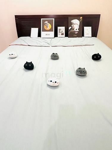 Hình ảnh Cho Thuê Studio Giá Rẻ Chỉ Có Tại Tân Bình