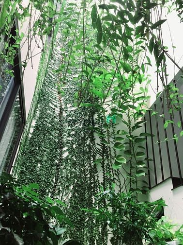 Hình ảnh Biệt Thự Đa Phước 8, Dt 192m2, Nhà 2 Tầng ,Đg 8m, Giá 12,5 Tỷ.