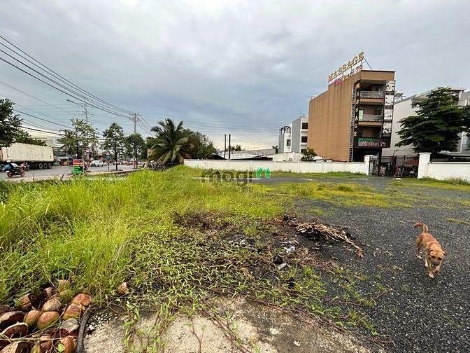 Hình ảnh 🔥Đất 2300m2 VÒNG XOAY PHÚ HỮU - NGUYỄN DUY TRINH - Thủ Đức - 220 tỷ