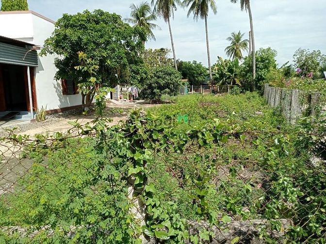 Hình ảnh Hơn 200 m2 đất thổ cư TP Cam Ranh, phường Cam Nghĩa gần QL 1A sổ đỏ