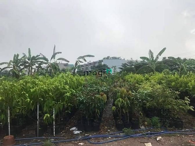 Hình ảnh 🔥MT Sông Vàm Thuật - PHAN HUY ÍCH - Đất Giáo Dục Tương Lai 3 MT