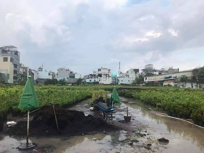 Hình ảnh 🔥MT Sông Vàm Thuật - PHAN HUY ÍCH - Đất Giáo Dục Tương Lai 3 MT