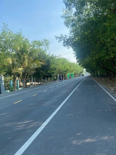 Hình ảnh Đất mặt tiền DH605 Chánh Phú Hòa,DT 1ha ODT 1160m2,sổ riêng.