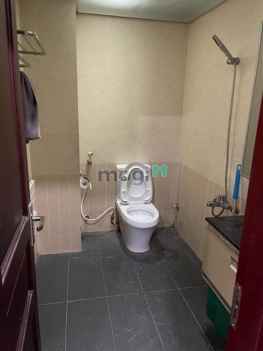 Hình ảnh Cho thuê biệt thự Tân Phú 8x18. 4PN. Full nội thất Lũy Bán Bích