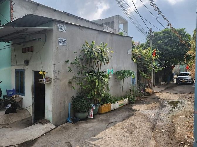 Hình ảnh P. Bình Chiểu, bán gấp dãy trọ 106m2 SHR chỉ 3.3 t.ỷ.
