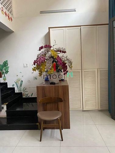 Hình ảnh _______  hxh nhất chi mai quận tân bình phường 13. _______