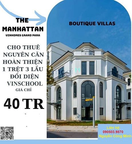 Hình ảnh Cho thuê Biệt thự đối diện Vinschools diện tích đất 275m2 giá 40tr/th
