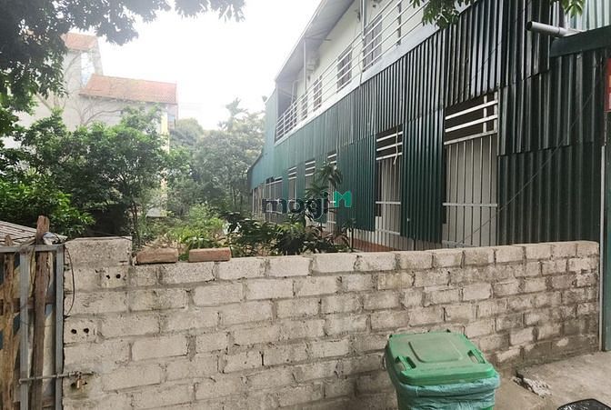 Hình ảnh Siêu phẩm kinh doanh hồ tân xã, cách mặt hồ tân xã chỉ 30m
