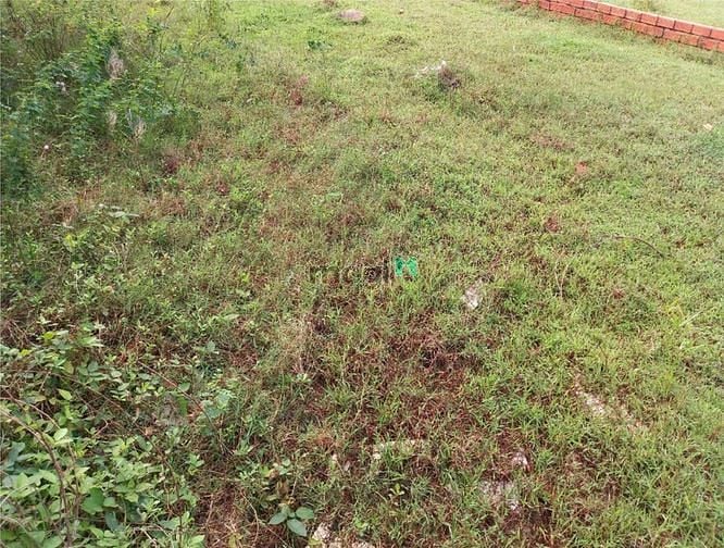Hình ảnh Cần cho thuê đất 7x26m 6tr/th đường 711 (Gần C.cư Jamila Khang Điền)