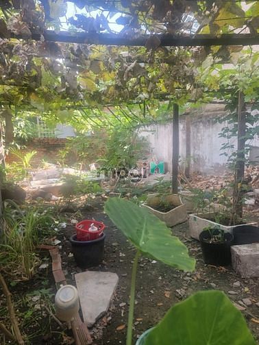 Hình ảnh TIN THẬT:Lô đất 70m2,cách đường 494 30m,không QH,mộ Tăng Nhơn Phú A,Q9