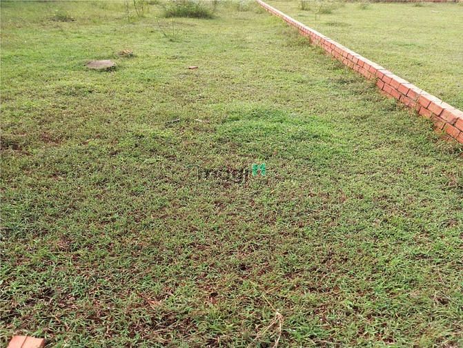 Hình ảnh Cần cho thuê đất 7x26m 6tr/th đường 711 (Gần C.cư Jamila Khang Điền)