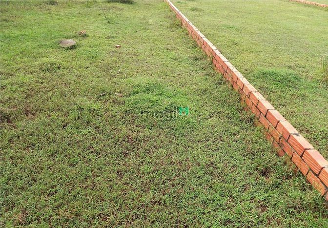 Hình ảnh Cần cho thuê đất 7x26m 6tr/th đường 711 (Gần C.cư Jamila Khang Điền)