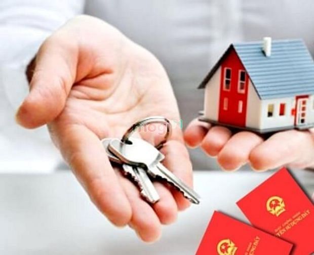 Hình ảnh Cần Trang MB66.COM Chính Thức - MB 66 Uy Tín đất quận Tân Bình - chính chủ.