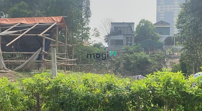 Hình ảnh Bán đất 200m2 (bìa 90m2) tại Thanh Thủy, Phú Thọ.