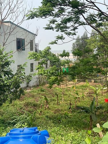 Hình ảnh Bán đất 200m2 (bìa 90m2) tại Thanh Thủy, Phú Thọ.