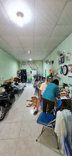 Hình ảnh Tân Bình, ngay UBND Phường 5, hẻm 5m, 53m2, giá 5.6 tỷ.
