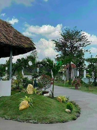 Hình ảnh 🔥ĐẤT VIEW SÔNG GÒ CÔNG Q9 801,2m - Chỉ 28 Tỷ