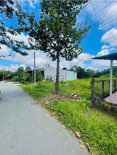 Hình ảnh Đất thổ cư mặt tiền đường nhựa, sát bên Uỷ Ban Xã Thái Mỹ