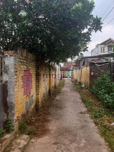 Hình ảnh Chính chủ bán lô đất Tân thành đan phượng 81m2 giá 2.2 tỷ