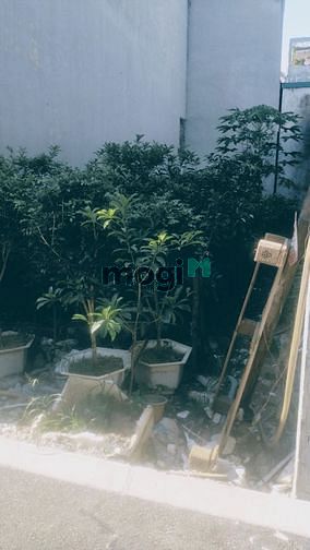 Hình ảnh Đất Cổ Linh - Xuân Đỗ - Chỉ hơn tỷ - 35M
