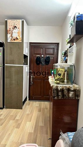 Hình ảnh 💥Cần bán Trang Chủ MB66.COM / Đăng Ký Tặng 66K chung cư  Bàu Cát 2, quận Tân Bình DT 49m2  1pn 1wc