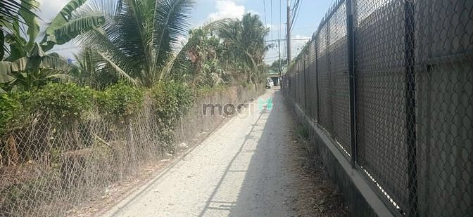Hình ảnh Bán đất Bình Mỹ Củ Chi.DT:15×27m. Giá 4,8tỷ