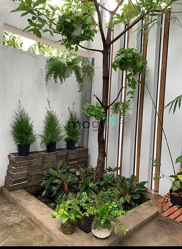 Hình ảnh Nhà HXT góc 2MT Bùi Đình Tuý, p12, Bình Thạnh
